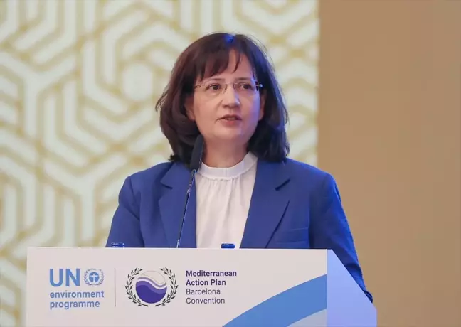 Akdeniz Eylem Planı Odak Noktalıkları Toplantısı İstanbul'da Başladı