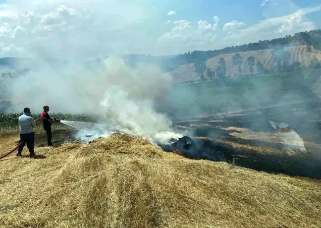 Bolu'da Arpa Tarlasında Yangın: Samanlar Küle Döndü