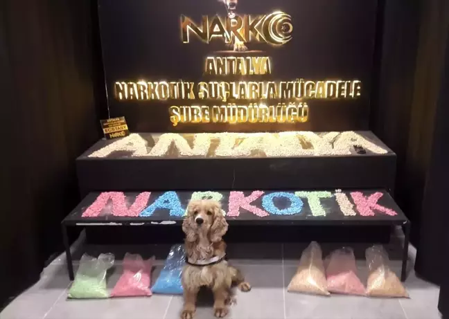Antalya'da uyuşturucu operasyonunda yakalanan 3 şüpheli tutuklandı