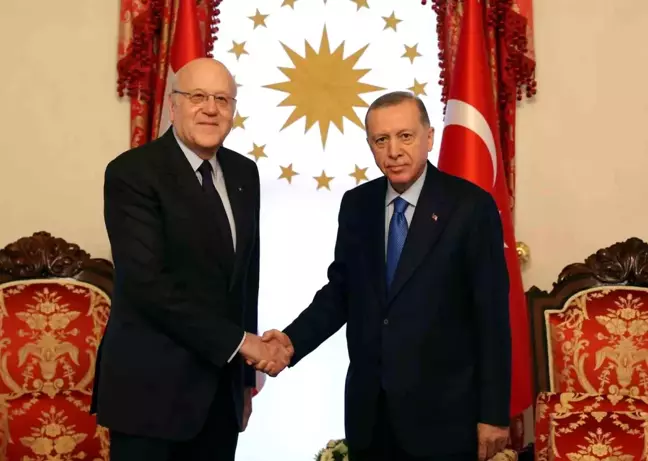 Cumhurbaşkanı Erdoğan, Lübnan Başbakanı Mikati ile görüştü