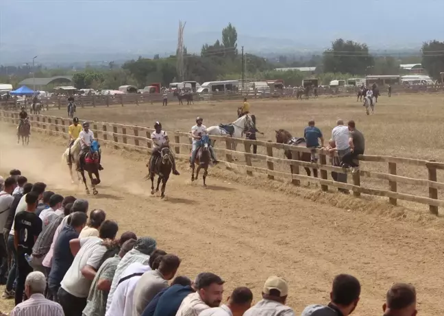 Ödemiş'te Rahvan At Yarışları Coşkusu