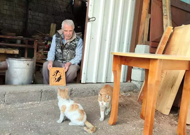 Kahramanmaraş'ta Esnafın Kedilere Gösterdiği Şefkat