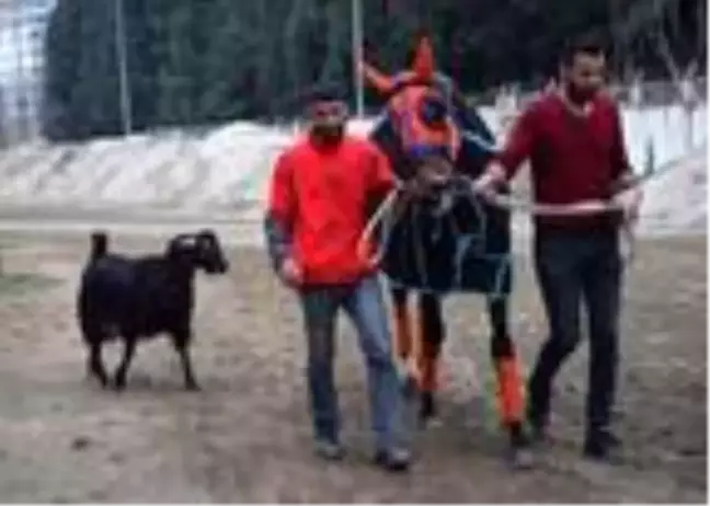 Hasfırtına'nın kaderi, 'keçi Taner' ile değişti