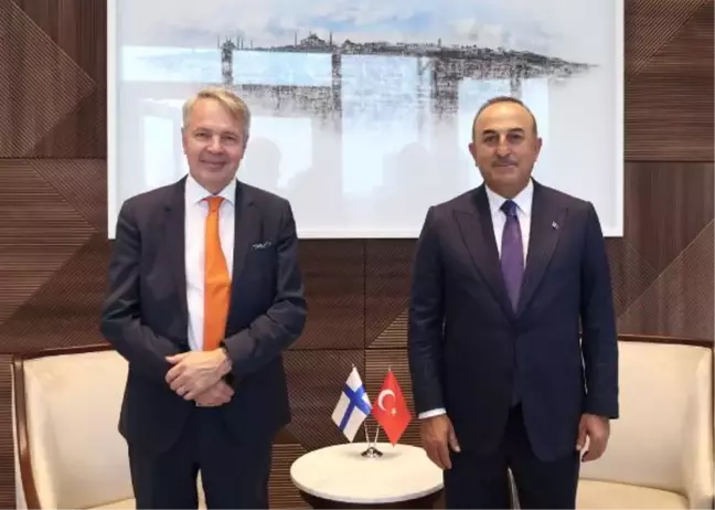 Dışişleri Bakanı Çavuşoğlu, Türkevi'ndeki temaslarına devam etti (2)