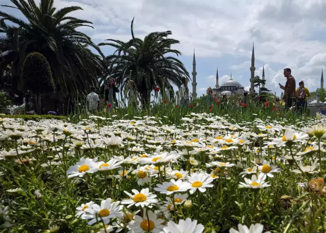 Tarihi Yarımada'da turist yoğunluğu