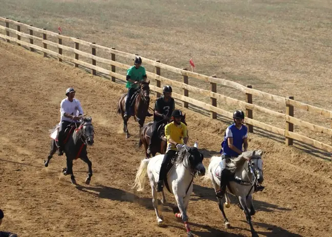 Ödemiş'te Rahvan At Yarışları Coşkusu