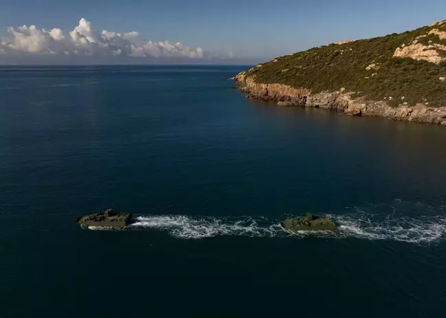 Türk Ordusunun 'Timsah'ları Amfibi Eğitimlerine Devam Ediyor