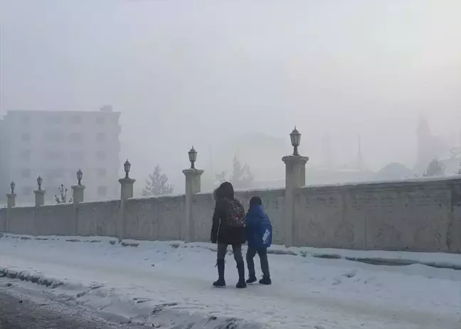 Ardahan, Kars ve Ağrı'da Dondurucu Soğuklar Buzlanmaya Neden Oluyor