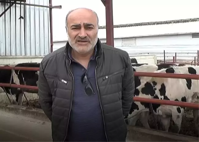 Kırşehir'de Kurbanlık Fiyatları ve Yem Denetimi Gündemde