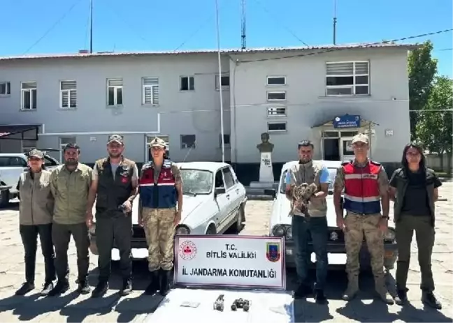 Bitlis'te Yasa Dışı Şahin Avına Cezalar