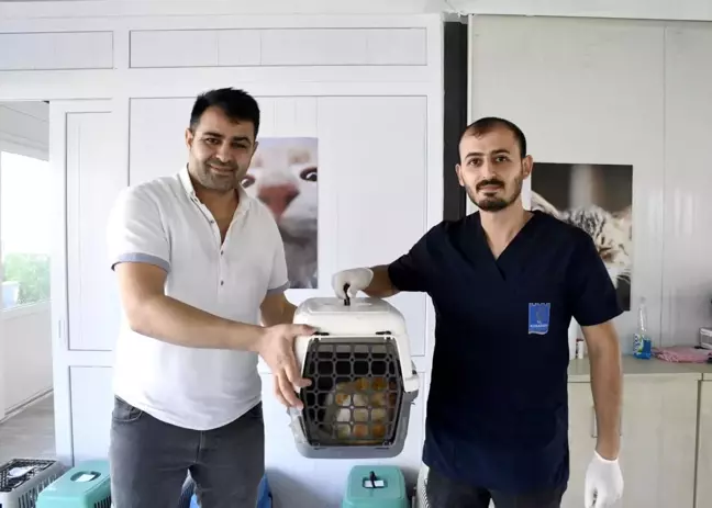 Kuşadası Belediyesi'nden Kedi Kısırlaştırma Merkezi