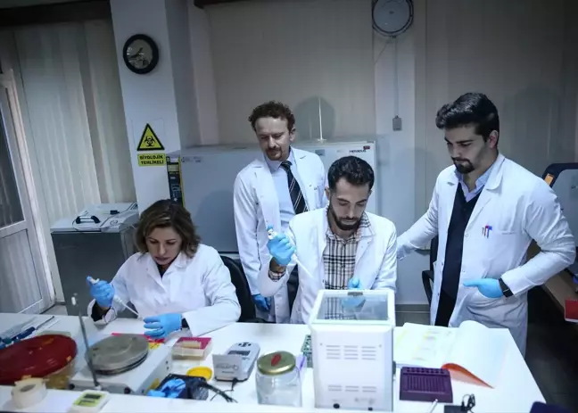 MEÜ'de Kırım Kongo Kanamalı Ateşi hastalığına yönelik genetik araştırma projesi başlatıldı