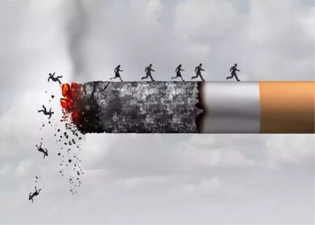 Tütün Kullanımı Kansere Neden Olan En Önemli Risk Faktörüdür