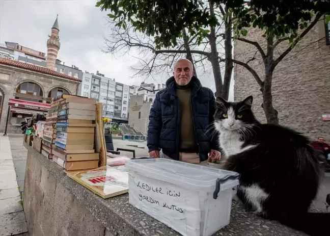 Trabzon'da Kitap Satıcısı İsmail Gürsoy, Bağışlarla Kedilere Yardım Ediyor
