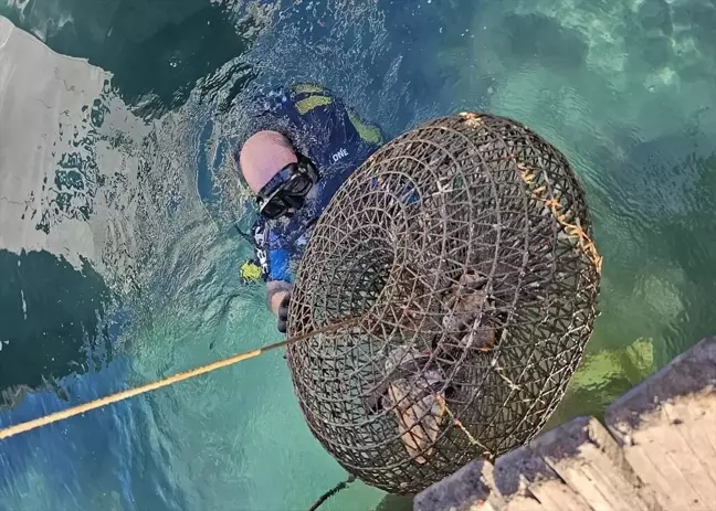 Muğla'da Dalış Timi Yasa Dışı Balıkçılığa Geçit Vermedi