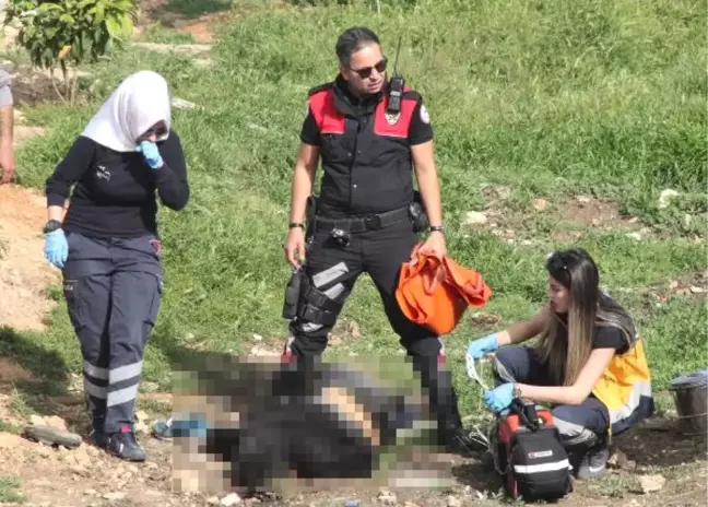 Dha Yurt - Şanlıurfa'da Köpek İçin Silahlı Kavga: 2 Ölü, 1 Yaralı