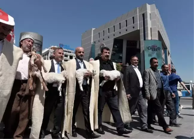 Dha Ankara- Başkent'te Çobanlar Küçükbaş Hayvan Sürüsü Gezdirdi