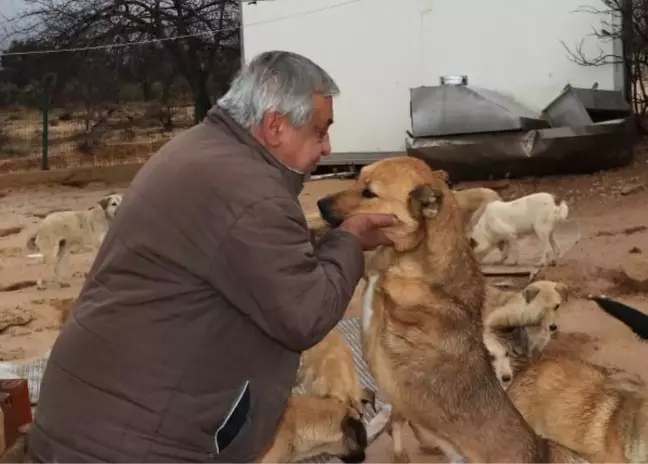 YARALI HAYVANLARA ADANMIŞ BİR ÖMÜR