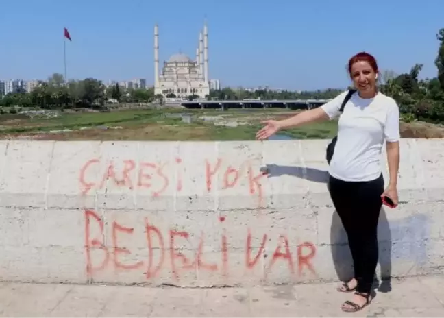 Adana'da Tarihi Taşköprü'ye Sprey Boyalarla Yazılar Yazıldı