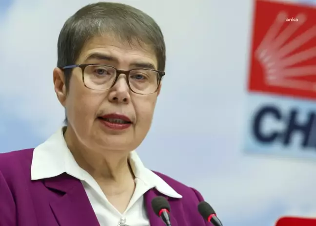 CHP Genel Başkan Yardımcısı Zeliha Aksaz Şahbaz, Down Sendromlular Günü'nde açıklama yaptı