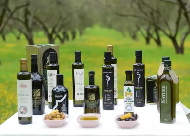 Çanakkale'nin Eceabat ilçesinde zeytin yağı üretimi için coğrafi işaret tescil süreci devam ediyor