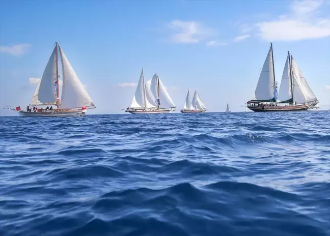 Bodrum'da Rüzgarla Dans Eden 36. Maximiles Black The Bodrum Cup Yelken Yarışları