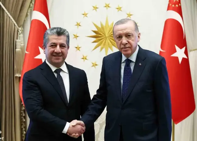 Cumhurbaşkanı Erdoğan, IKBY Başbakanı Mesrur Barzani'yi kabul etti