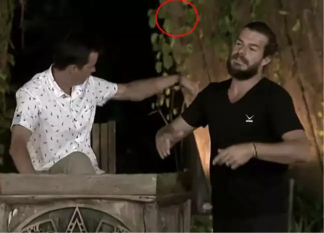 Üzerinde Hamam Böceği Gören Alp Kırşan Ne Yapacağını Bilemedi
