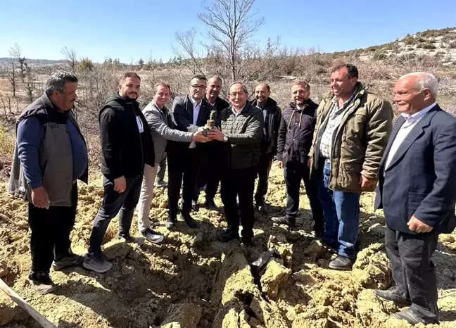 Engelsiz Biberiye Tarlası Projesiyle Mersin'de 100 Fidan Dikildi