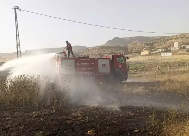 Mardin'de Ormanlık Alanda Çıkan Yangın Kontrol Altına Alındı