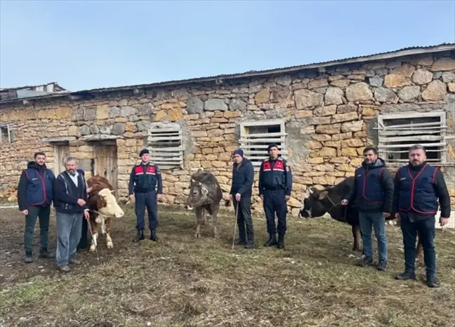 Sivas'ta Hayvan Hırsızlığı Operasyonu: 4 Tutuklama