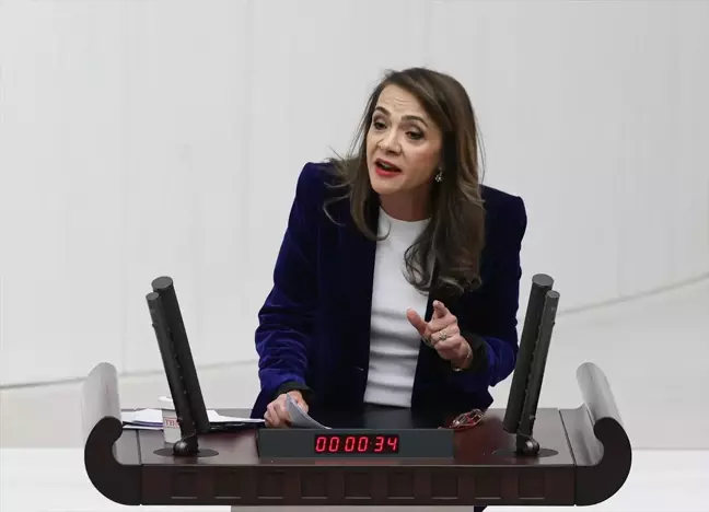 Sağlık ve İçişleri bakanlıklarının 2024 yılı bütçeleri TBMM Genel Kurulunda