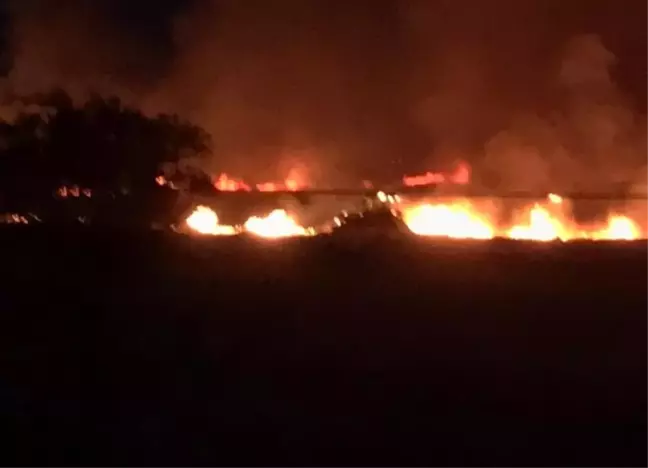 Konya'da çıkan ekin yangını kontrol altına alındı