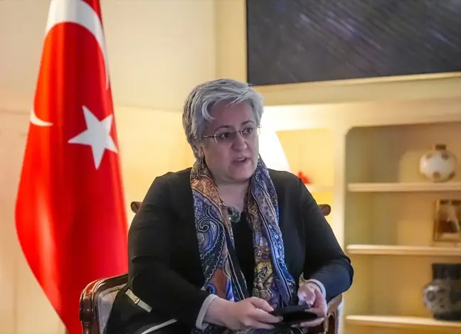 Türkiye'nin Boston Başkonsolosu, Rümeysa Öztürk'ün Dava Sürecini Takip Edecek