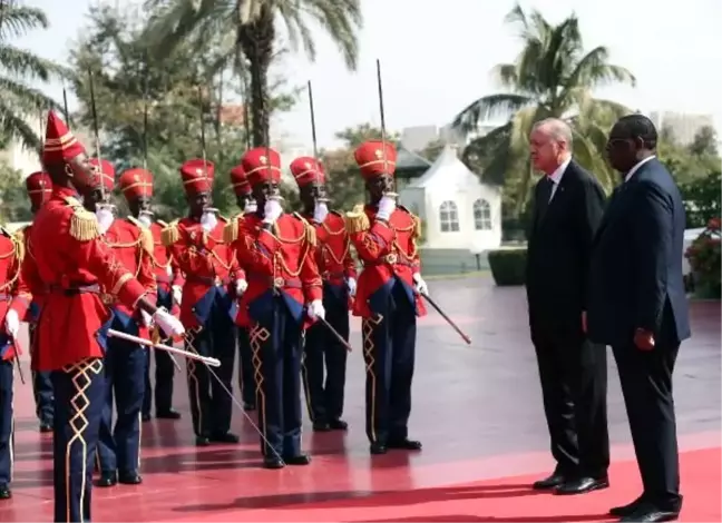 Cumhurbaşkanı Erdoğan Senegal'de