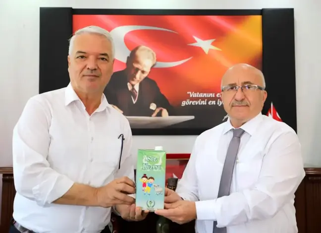 Saruhanlı Belediyesinin 'Süt kuzusu' projesi başlıyor