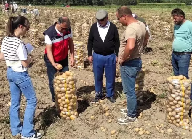 Patates Üretiminde Kontroller Yapıldı