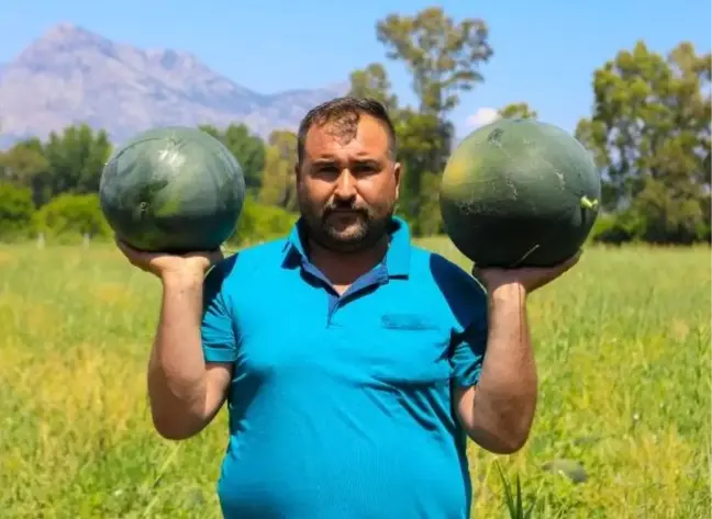500 ton karpuz elinde kalan çiftçi: Bu yıl da evde kaldım