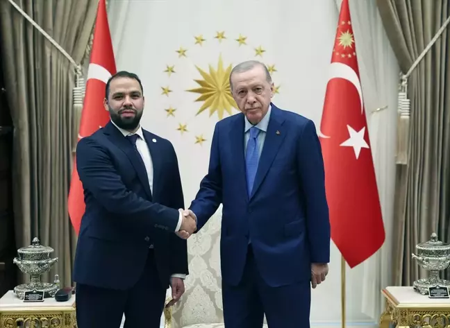 Cumhurbaşkanı Recep Tayyip Erdoğan, beş büyükelçiyi kabul etti