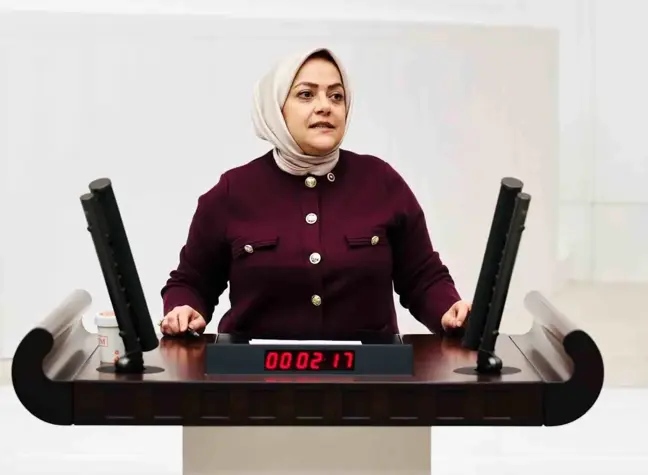 Sema Silkin Ün: Deprem Yaraları Sarılmadan İkinci Bir Felaketle Karşılaşabiliriz