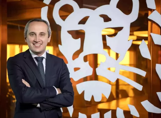 ING'ye danışmanlık görevi
