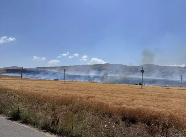 Kayseri'nin Develi ilçesinde tarım arazisinde yangın çıktı