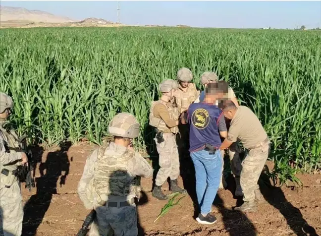 Mardin'de firari 2 hükümlü yakalandı