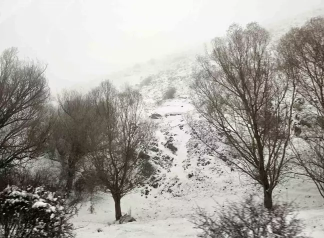 Eskişehir Kış Manzaralarıyla Beyaza Büründü