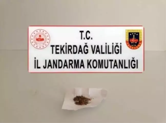 Tekirdağ'da Uyuşturucu ve Kaçakçılık Operasyonları: Çok Sayıda Öğe Ele Geçirildi