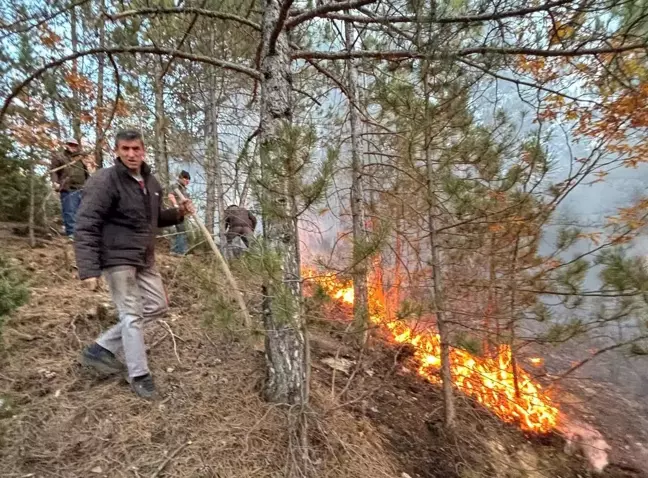 Kütahya'da Çıkan Yangınlar 6,2 Hektar Alanı İle Zarar Verdi