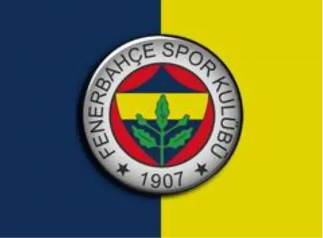 Fenerbahçe'nin yeni transferi sakatlandı!