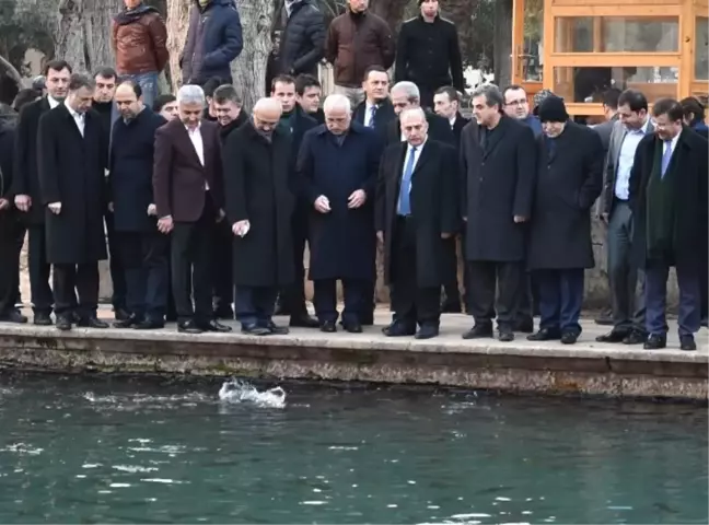 Bakan Elvan Balıklıgöl ve Müzeleri Gezdi