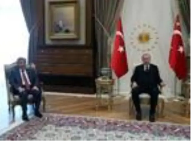 Erdoğan, Danıştay Başkanı Yiğit'i kabul etti