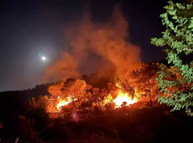 Hatay'ın Kırıkhan ilçesinde ormanlık alanda çıkan yangın söndürüldü